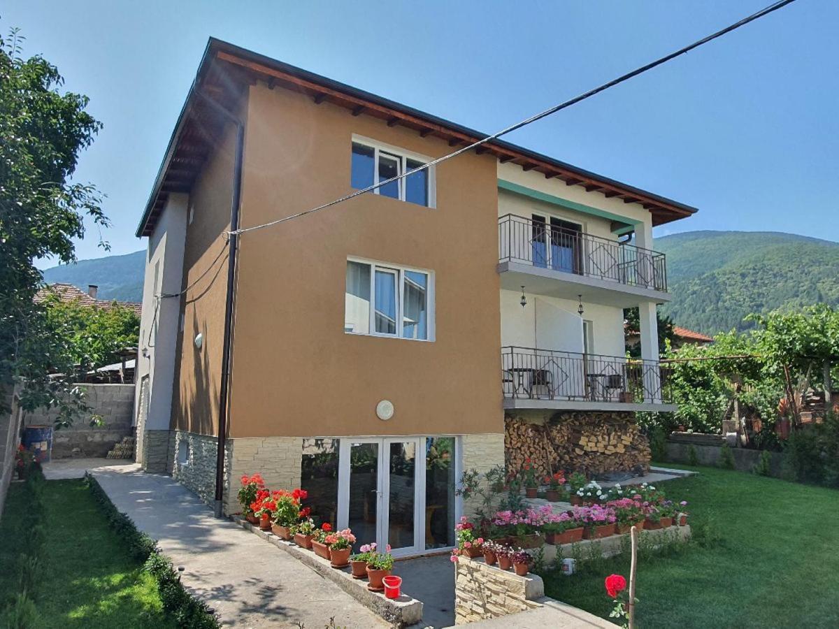 Дамяновата Къща Villa Szapareva Banja Kültér fotó